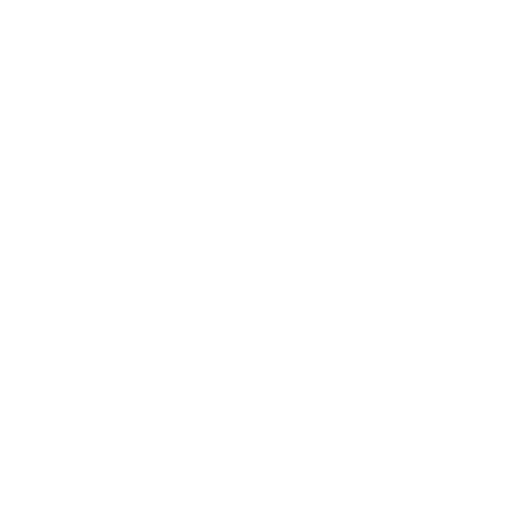 logo speed-min